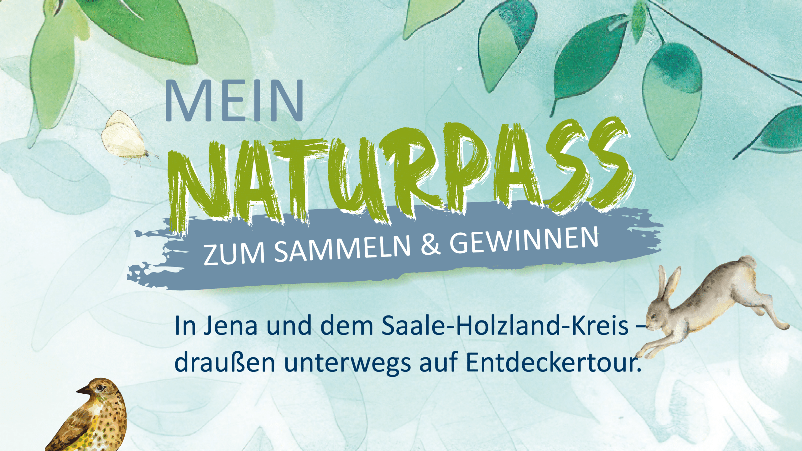 News-Beitrag-Content-SDW